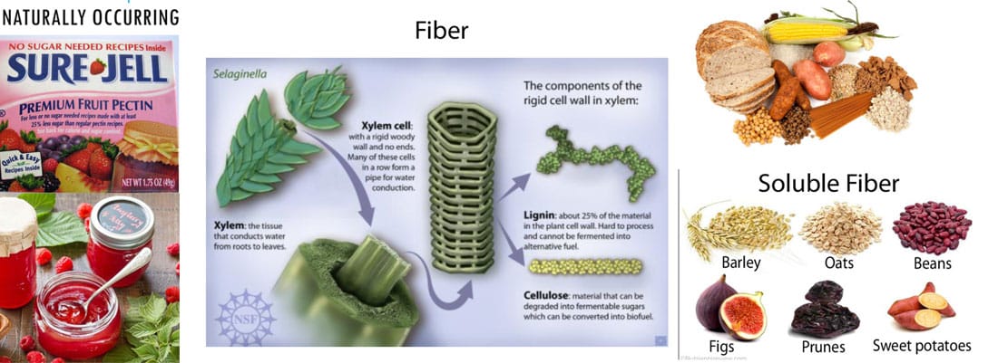 What It Is Dietary Fiber?